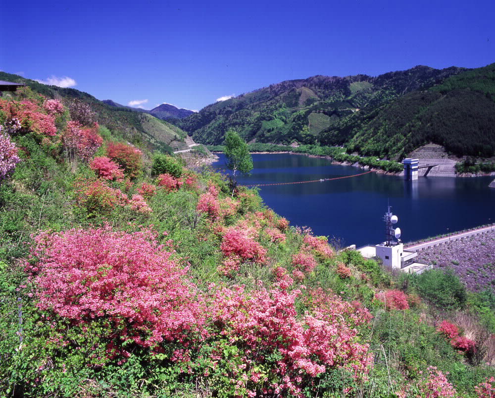 味噌川ダム（奥木曽湖）周辺