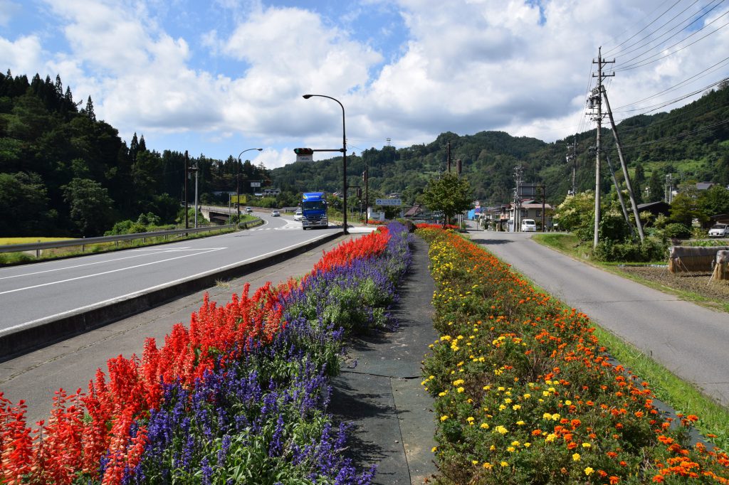 オリンピック道路沿線（小川村）