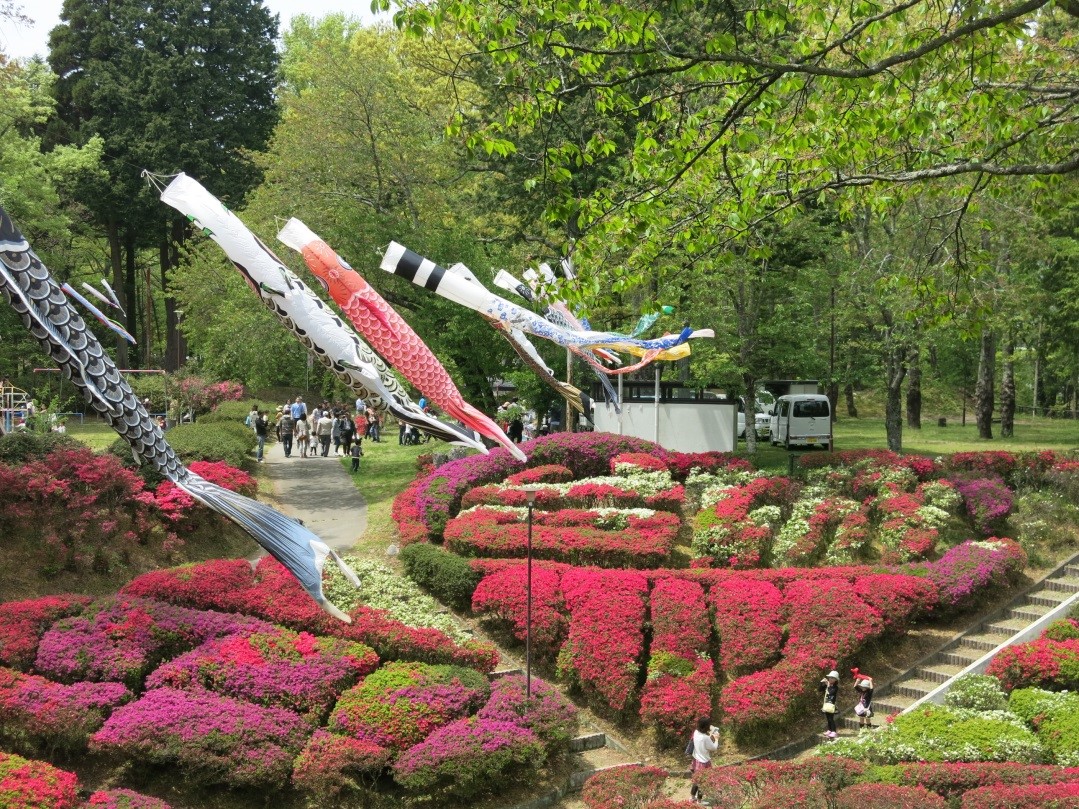 台城つつじ祭り 信州緑花ネットワーク